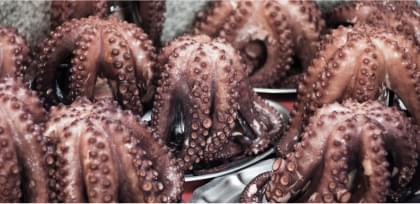 seafood image